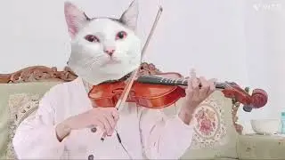 #ViolinPractice 🎻 Twinkle Twinkle Little Star Variations