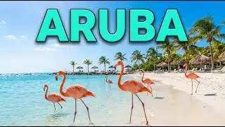Spring Break in Aruba 🇦🇼 | Windsurfing, SeaBob Adventure, UTV Tours & Island Eats