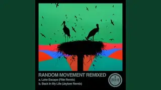 Lake Escape (Flite Remix)