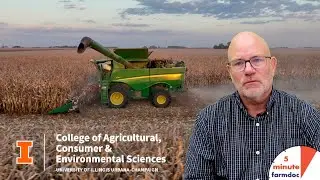 Declining Crop Prices and Costs: What Farmers Can Expect in 2024