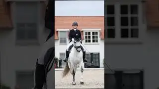 Matador Galeon FC y su Chica#matador #chica #mci #pre #prepaard #prehorse #predressagehorse