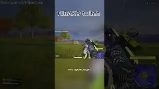 HIBAKO twitch  ХЕХ МДА