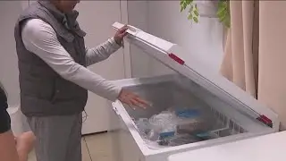 Landlord steps in to reconnect pets with owners after cremation business eviction