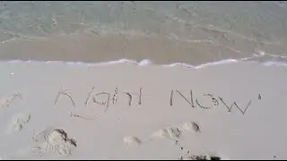Pick Up Freud - Right Now Music Video