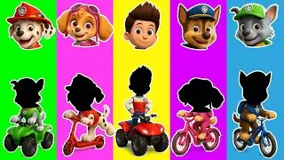 Wrong eyes👀 PAW Patrol NEW EPISODES Compilation! w/ Skye & Marshall - DAME TU COSITA Wrong Heads