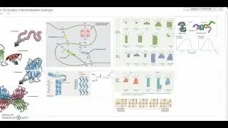 Protein3D og intermolekylære bindinger