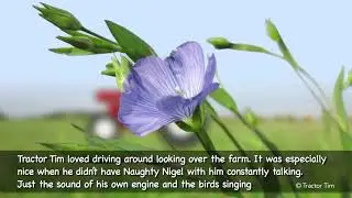 Linseed Flax Field and the flowers