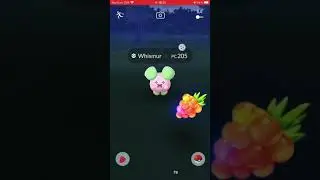 CAPTURANDO SHINY #3 - WHISMUR ✨