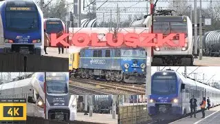 Pociągi w Koluszkach