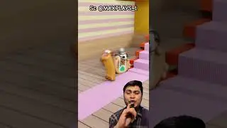 TURUN TANGGA ⁉️SUARANYA LANGKAHNYA UNIK YA MAXPLAYS_1