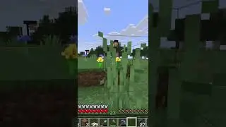 WHY Was That on the TV?! #minecraft #funnymoments #funny #gamingshorts #awkwardmoments #friendship