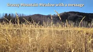 Grassy Mountain Meadow with a message