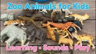 10 Wild Zoo Animal Names & Fun Facts! 🐍🦁 Educational Toy Learning for Kids & Toddlers!