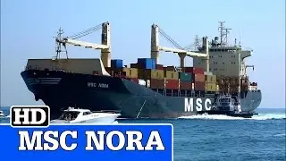 MSC NORA | Container Ship