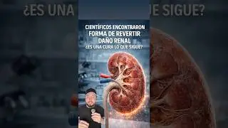 Fin de la di&aacute;lisis y de los transplantes renales?