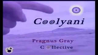COOLYANI by Pragnus Gray Collective