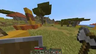 PigWorld Day 4