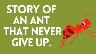 An ant that never gives up. Motivational bedtime story for kids and adults.