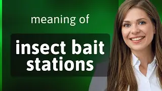 Unveiling the Secret World of Insect Bait Stations