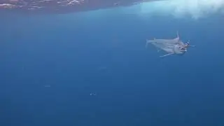 Billfish 15000 @ Sodwana Bay - Marlin released