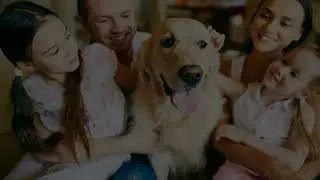 Pets In Spain Become Legal Members Of The Family