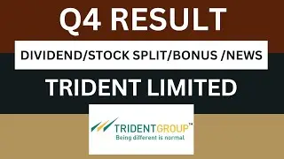 Trident Q4 Results 2024 | Trident Results Today | Trident Share Latest News