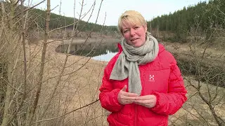 Anne-Vibeke Rejser, Harzen - S&aring; fantastisk er der Nationalpark Harzen - ogs&aring; uden for h&oslash;js&aelig;sonen