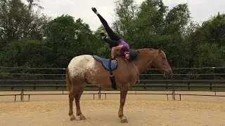 Yoga Instructor Performs Poses On Horseback