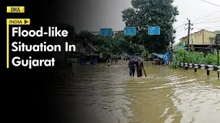 Flood-like Situation In Gujarat Owing To Torrential Rain, NDRF Conducts Rescue Operation