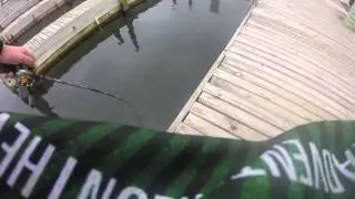 Small Pike On Quantum Fishing Gear!