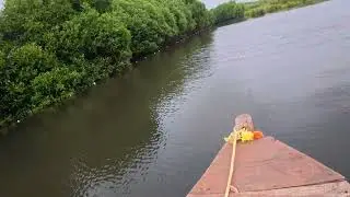 2025 11 South India Trip 026 Pondicherry Mangrove Forest 20251126170924_0093