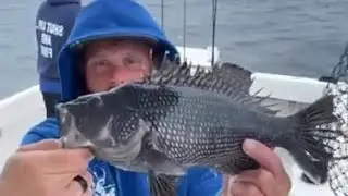 NJ Fishing Maniac is live! 23 seabass, 1 ling cod, 1 spiny dogfish, 1 bergall. Then rain