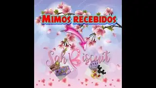 Mimos Recebidos - Sah Biscuit
