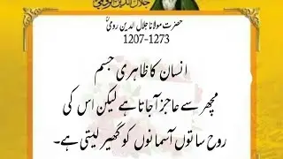 Maulana Romi Quotes on Life, Love, and Everything in Between ❤️ Allah ko Khush Rakhna Hai To Teen ?