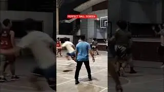 PERFECT BALL SCREEN