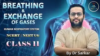 Breathing and Exchange of Gases (Part 1) | Human Respiratory System | Class 11 | NCERT | NEET UG