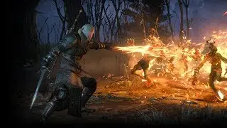 Locations of All Places of Power in Novigrad/Velen in Witcher 3