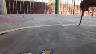 #floorpainting #activitywork           FLOOR ACTIVITY WORK AT VKV, NALBARI