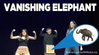 Making an Elephant VANISH!