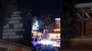 Forest Night Festival #fountain #show #colorful