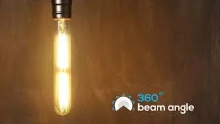 LED T10 Tubular bulb / UL Listed Decorative Vintage T30 Bulb