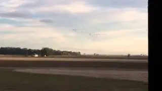 Shiawassee Geese Raid