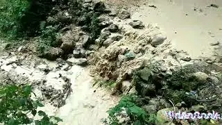 lanati