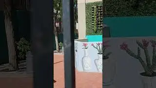 Urban Art Albuquerque NM