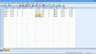 SPSS ile veri seti oluşturma (A data set)