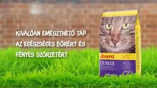 Josera Culinesse - Magas em&eacute;szthetős&eacute;gű eledel a selymes &eacute;s f&eacute;nyes szőrzet&eacute;rt