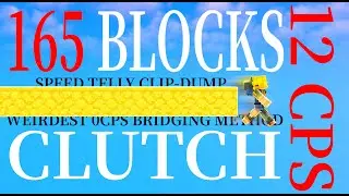12 CPS 165 Blocks Clutch