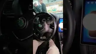 Octavia A5 DB252 + DST Dive. Идеальная сборка #kscustoms #автозвук #сборка #deafbonce #dst #teyes