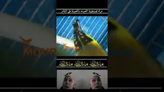 اجمل مقطع غناء الحسون القسنطيني الاصيل هذا المقطع لعام 1980