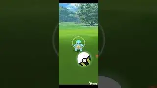 SQUIRTLE COMMUNITY DAY CLASSIC!!🐢😎MY FAVORITE COMM DAY✨️FROM 2023!!I GOT SO LUCKY🥳🤯